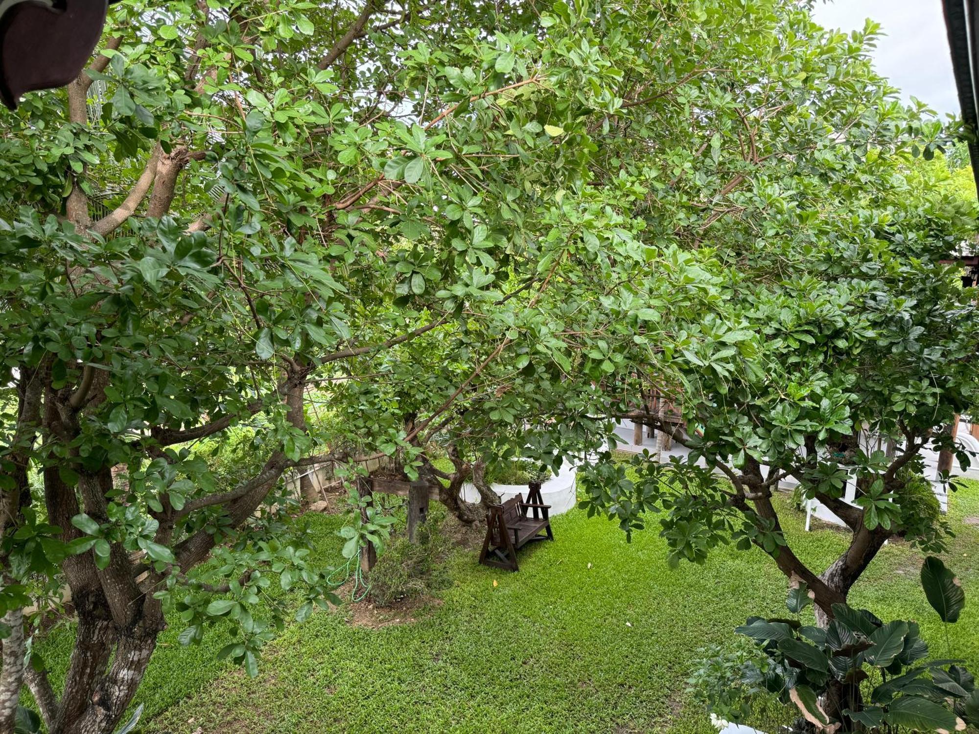 Chiang Mai Las Orquideas Resort Extérieur photo
